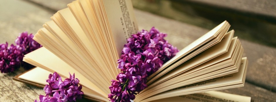 a-book-759873_1280.jpg